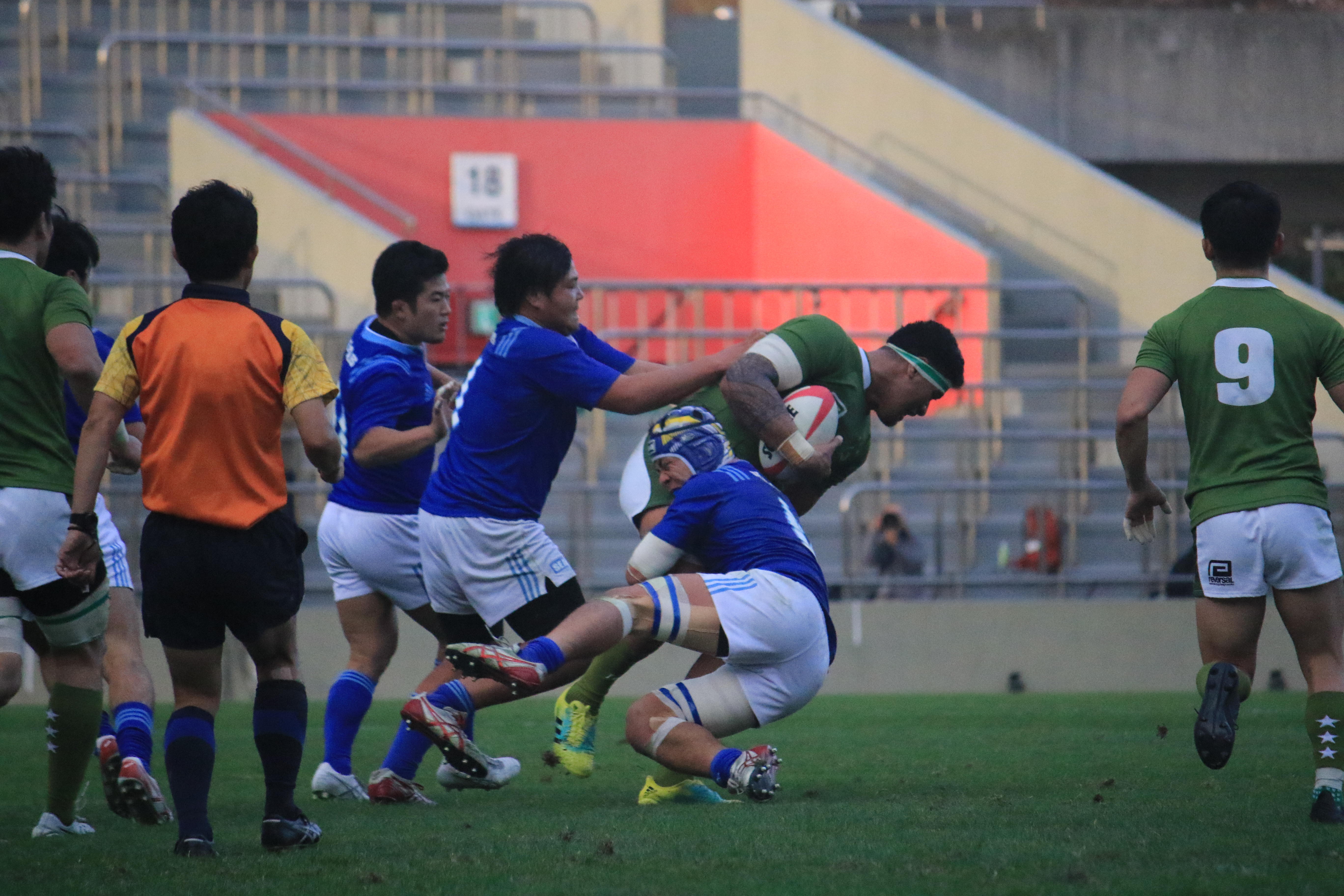 1X6A0950.jpg